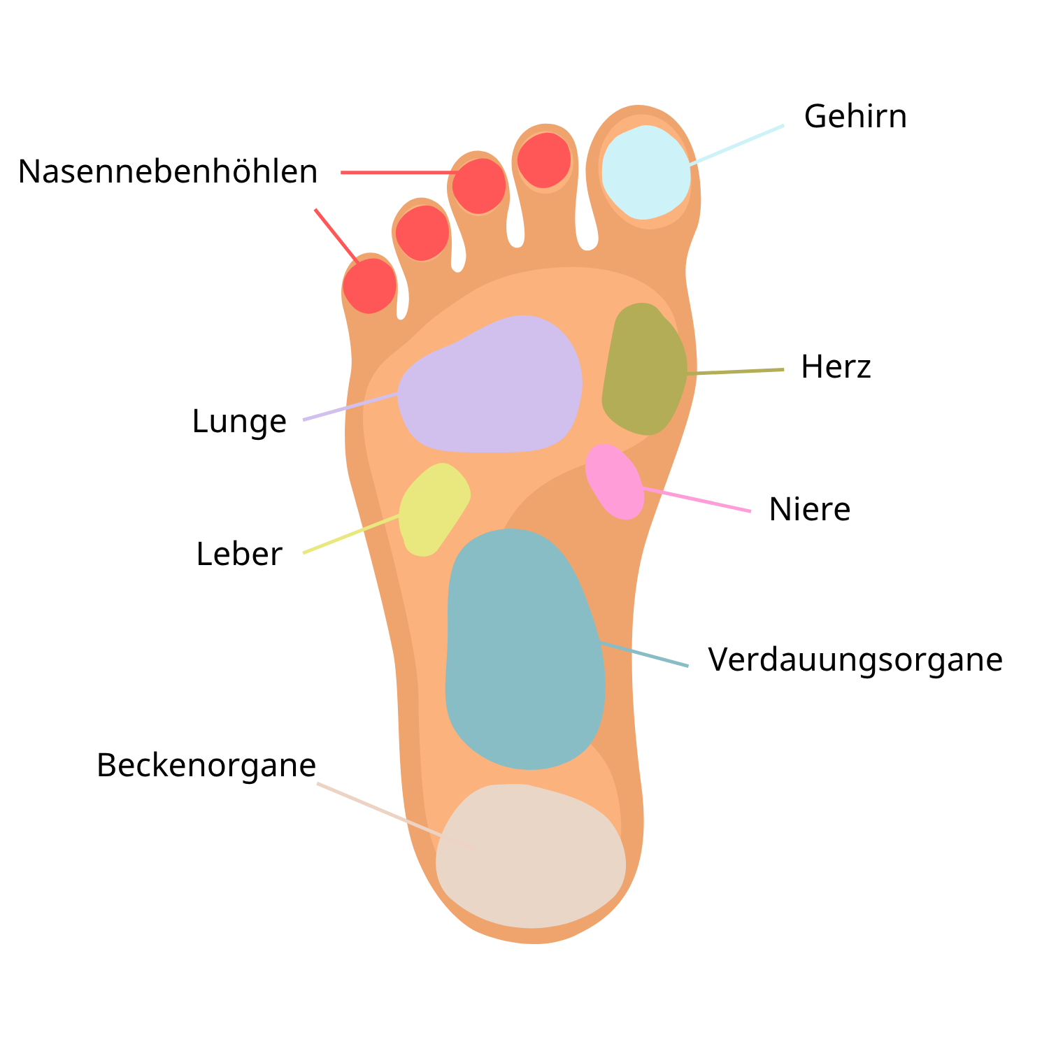 Infografik Fußreflexzonenmassage LebensForm Linz